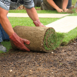 Lawn Mowing